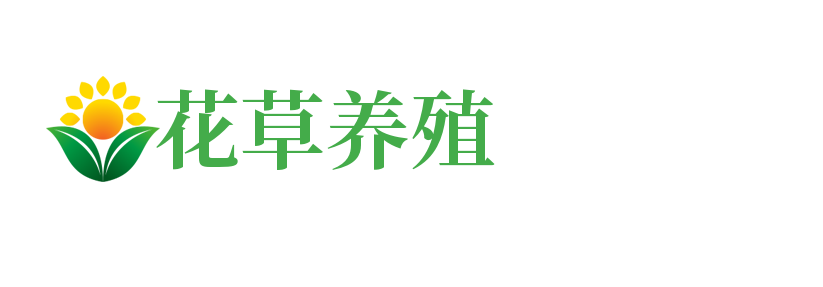 知花网 — 您身边的花卉养殖与花卉知识专家！